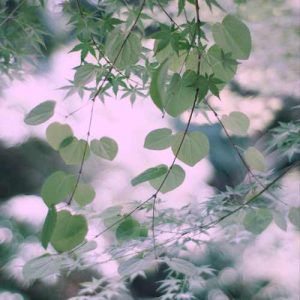 دانلود اهنگ آی ملییم اورییم سنی من سویرم آکانای